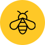icon_about
